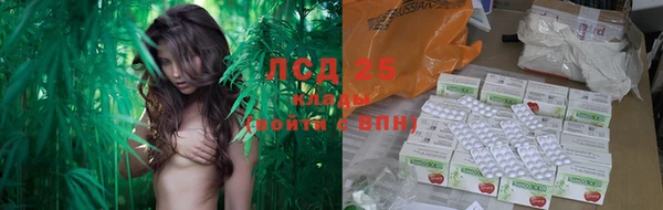 твердый Алексеевка