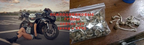 соль ск Алексин