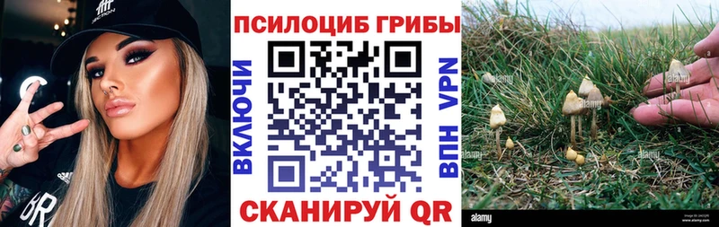 купить  цена  ОМГ ОМГ рабочий сайт  Псилоцибиновые грибы Magic Shrooms  Калач-на-Дону 